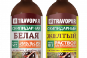 Дизайн этикетки