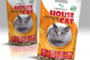 Дизайн упаковки