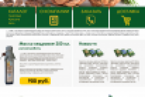 дизайн сайта