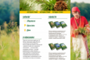 дизайн сайта