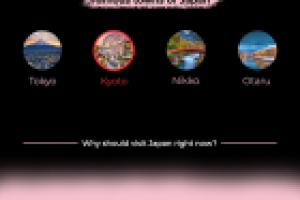 Тур в Японию