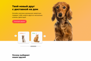 Интернет-магазин HappyPet