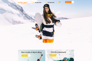 Интернет-магазин для копании-поставщика спортивного инвенаря