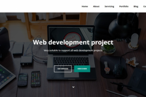 Верстка №1(Web-Development)