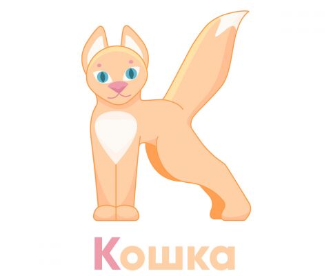 img4256523.png