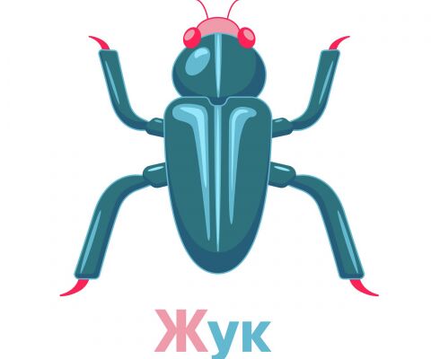 img4256522.png