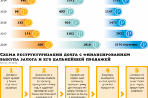 Инфографика для газеты "Деловой Петербург"