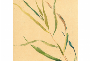 школа травы - 4