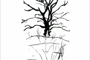 школа деревьев - 3