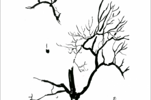 школа деревьев - 2