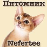 img2458247.png
