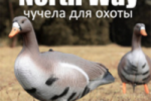 North Way: раскрутка группы в социальной сети ОК