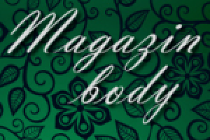 Magazin-body.ru: продвижение магазина боди-блузок из Испании