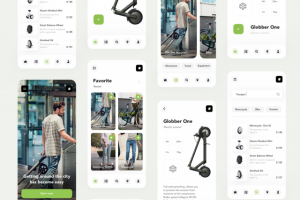 Service rental and sale of transport