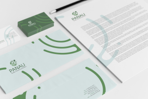 Фирменный стиль PANAU