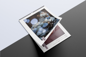 Календарь для магазина пряжи Hollywool