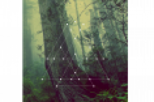 Чехол на телефон