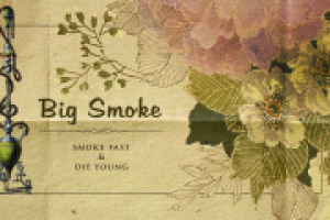 Работа 2781800