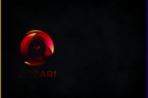 Работа 2781618