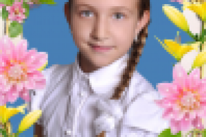 Работа 2781624