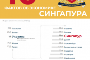 инфографика для BusinessViews