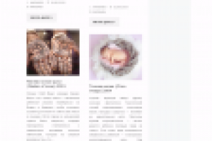 Сайт Фильмео