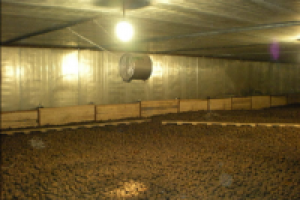 Утепление овощехранилища – сохраним урожай с Экотермиксом!