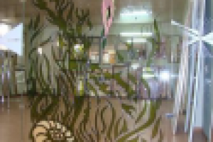 Витражи: расширяем пространство