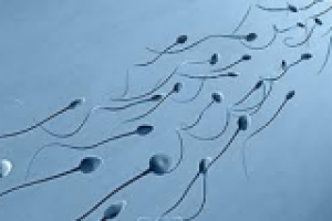 Спермограмма в клинике "Кармента"