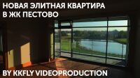 img3029278.png