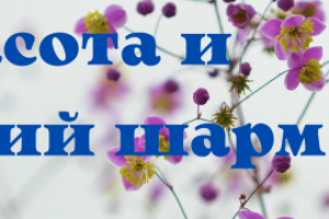 Красота и шарм женщины.