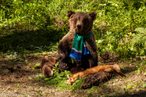 Бажовский фестиваль