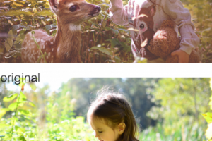 Обработка фото