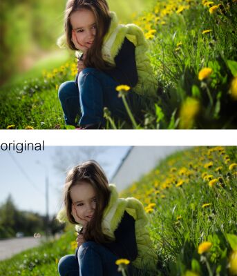 img3185715.png