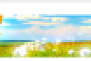 Шапка для сайта