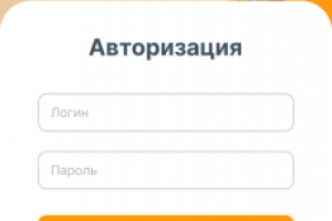 Мобильное приложение