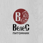 Логотип Велес