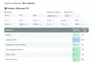 SEO-продвижение, отчет из топвизора