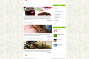 Дизайн сайта Народные средства