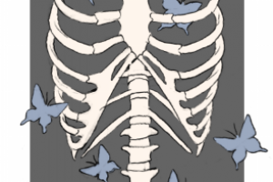 Бабочки в животе