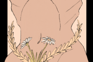 Эстетика тела