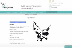 ООО «Академия»