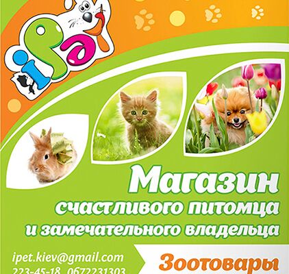 img4304350.png
