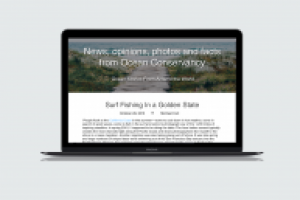 Дизайн блога