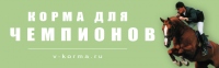 баннер статика