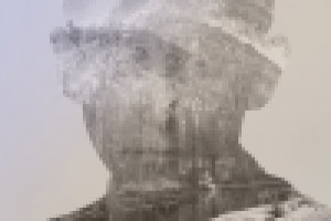 Работа 2351188