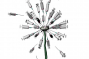 Одуванчик плакат наркомания