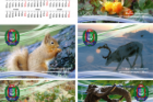 Карманные календари