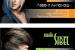 Работа 1705241