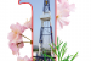 Работа 1705235